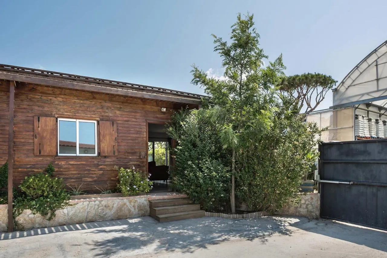 Casa Lidia Villa Conil De La Frontera Holiday home